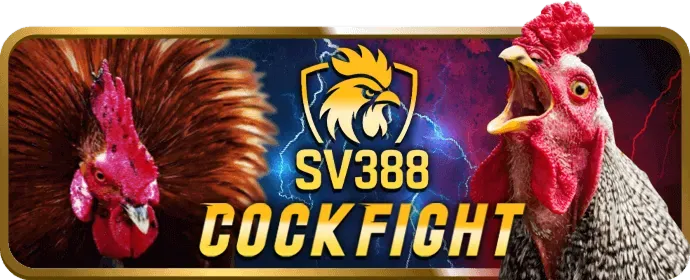 Cá cược bóng đá 88vv88
